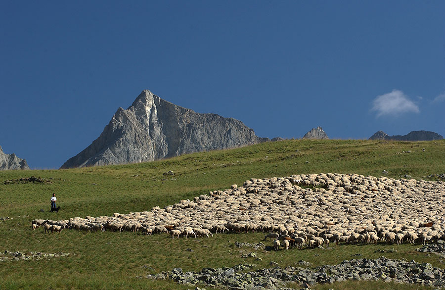 Source : département 06