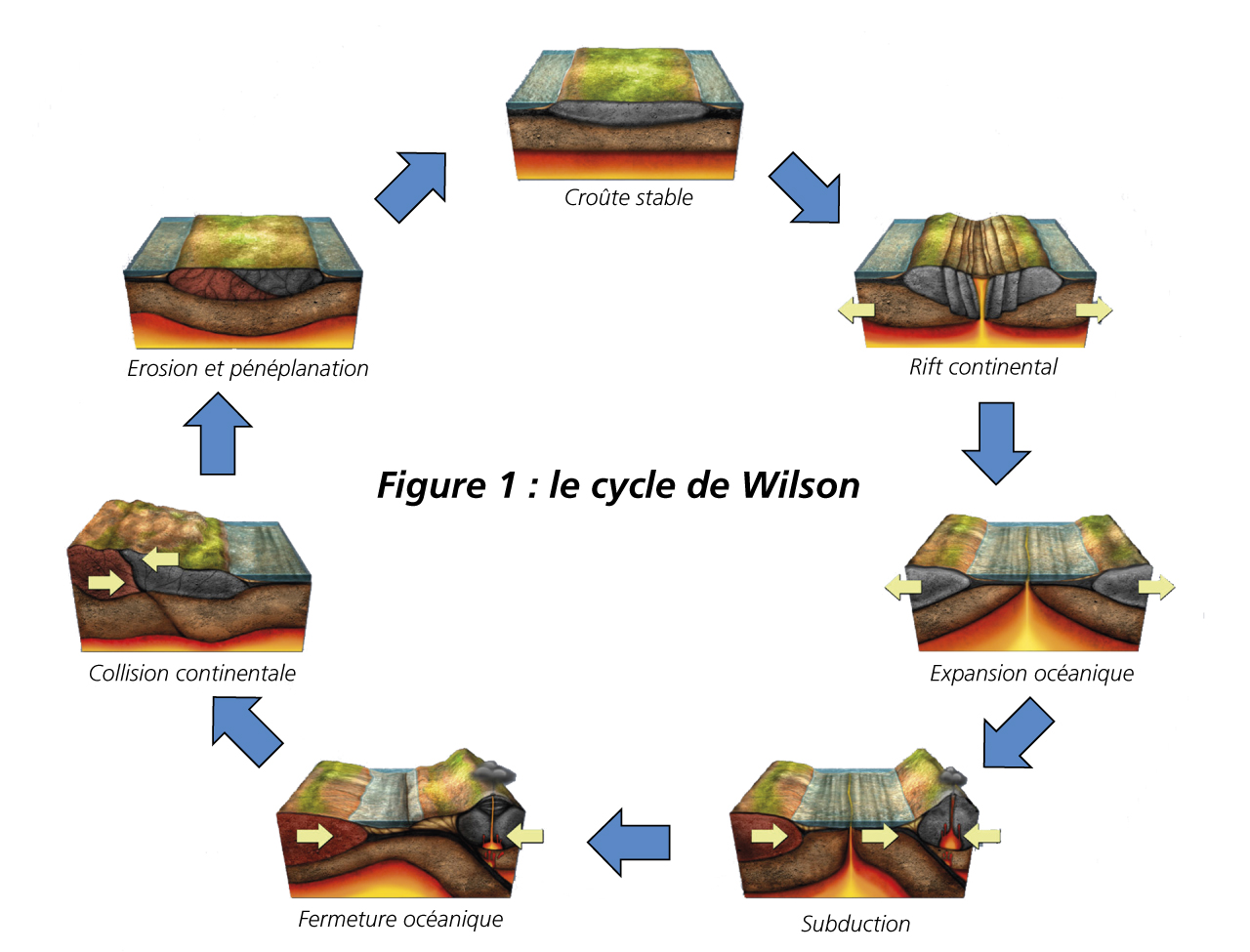 Figure 1: Wilson cycle Stable crust / Continental rift / Oceanic expansion / Subduction / Oceanic closure / Continental collision / Erosion and peneplanation