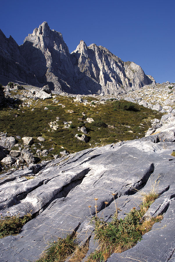 Le Marguareis (Photo de P.Polla)